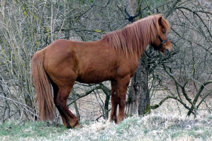 Orri bei der Mittagsrast